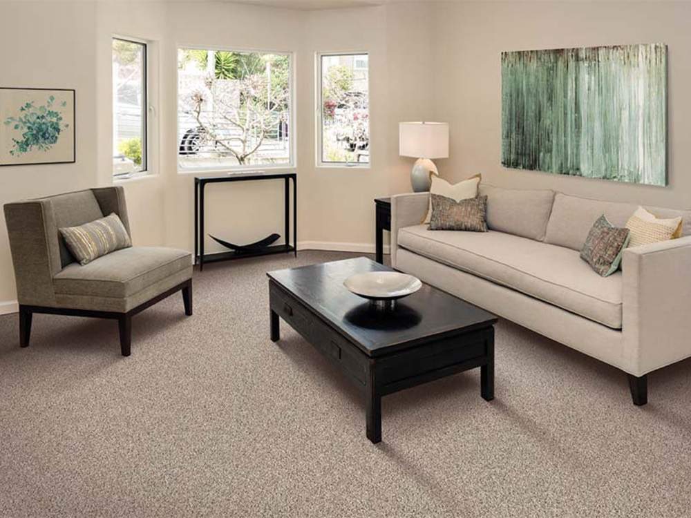 Carpet in a living room setting