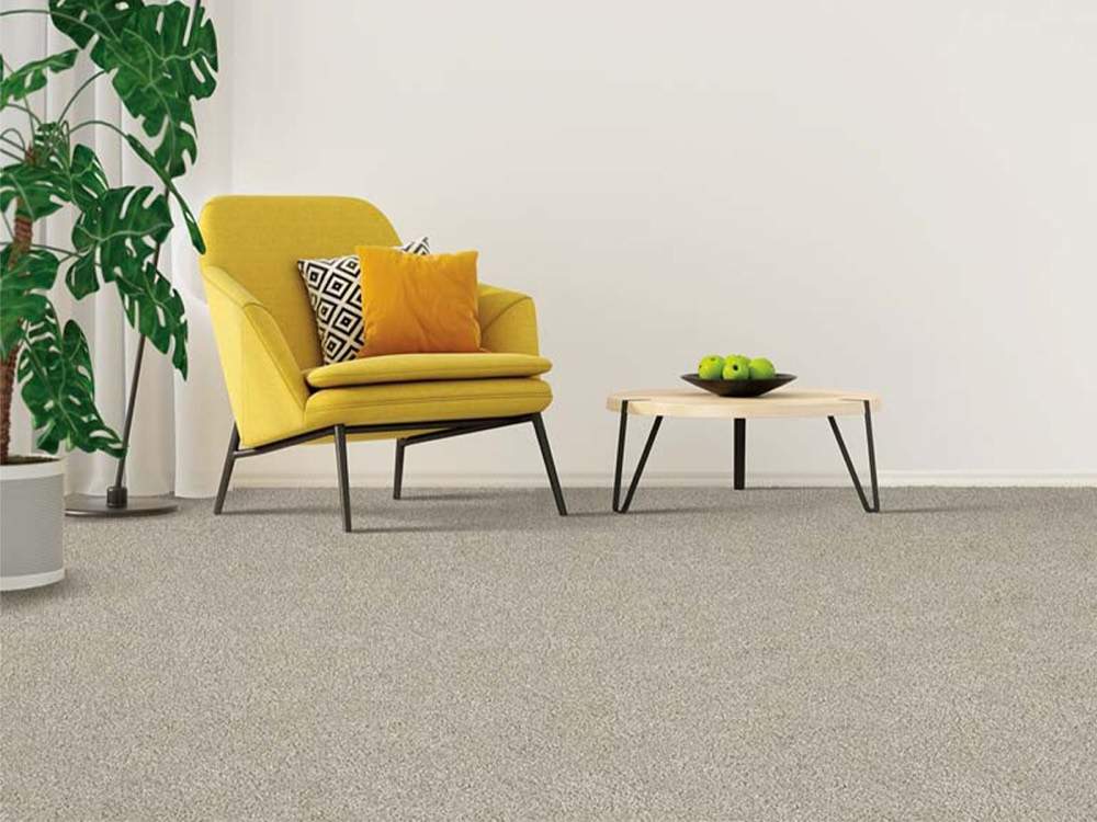 Carpet in a styled living room